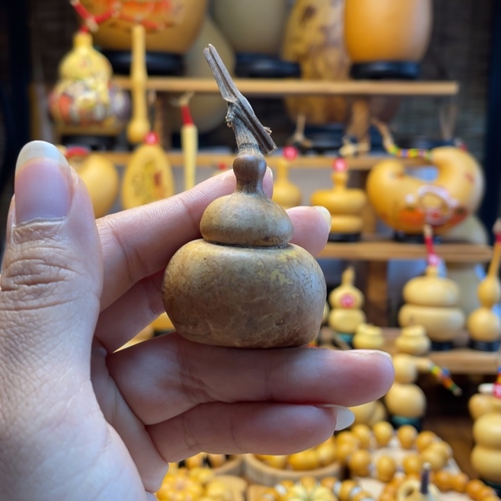 鲨***鱼天然葫芦自然生长