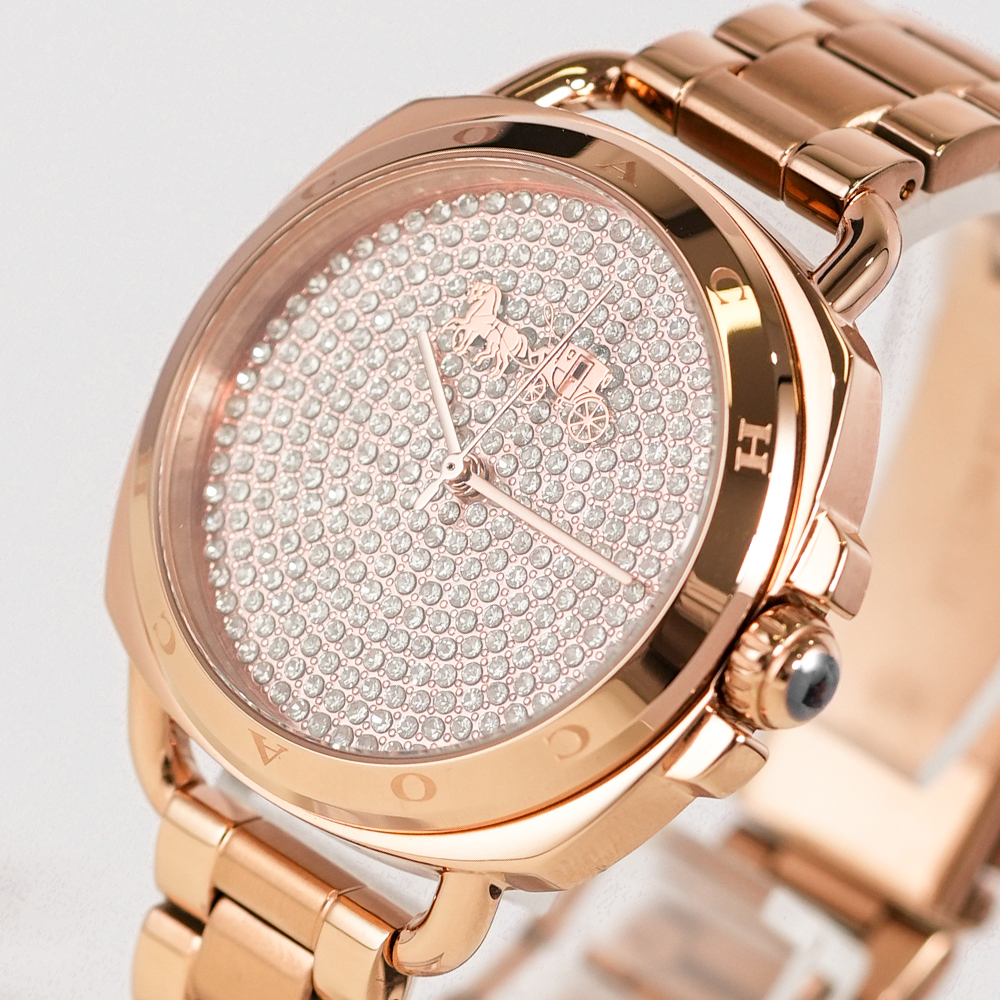 COACH/蔻驰【徐姐推荐】石英女士满天星时尚手表 14504168