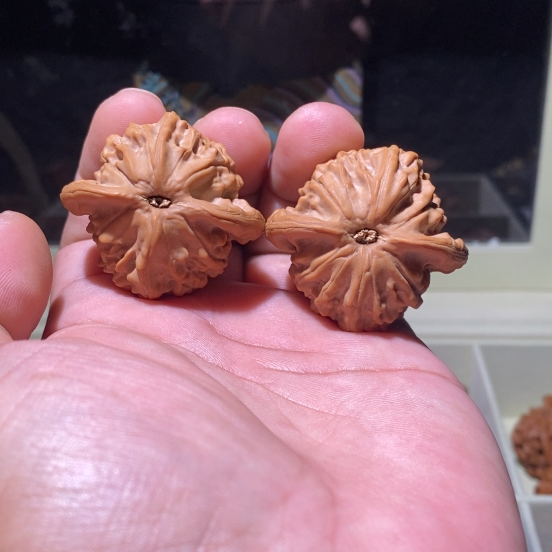 否***来文玩核桃吊坠大耳朵图图