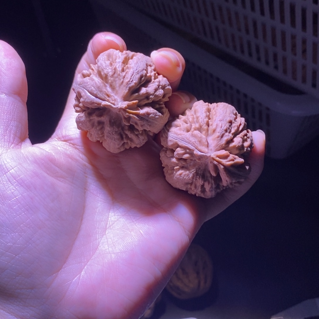 看***生文玩核桃吊坠42全品霸王龙