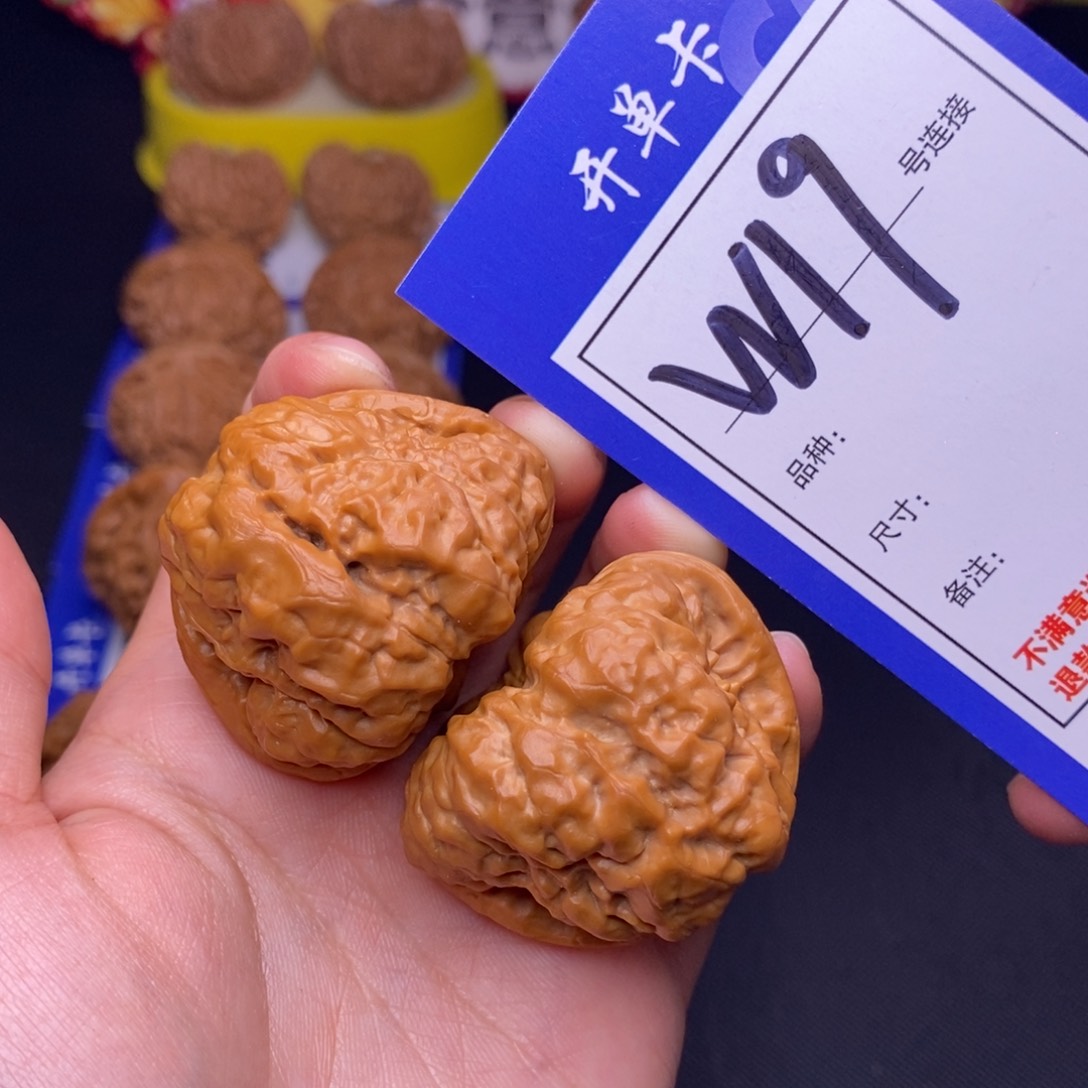 W19链接 蛤蟆头40尺 0000