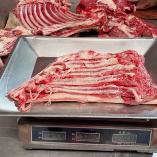 【闪购商品】冷冻保存30天包装河北省浩****护