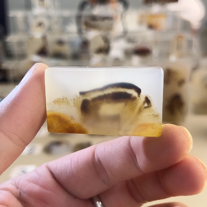 玛瑙/玉髓吊坠(不含链)未镶嵌