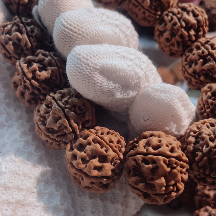 手串金刚菩提22尺寸6瓣