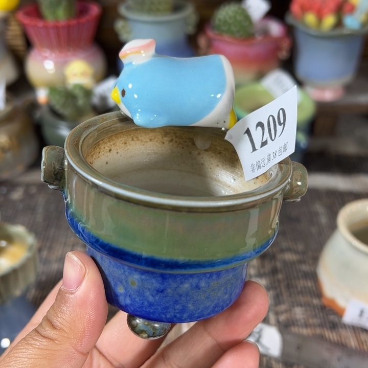 口6 未满30运费到付