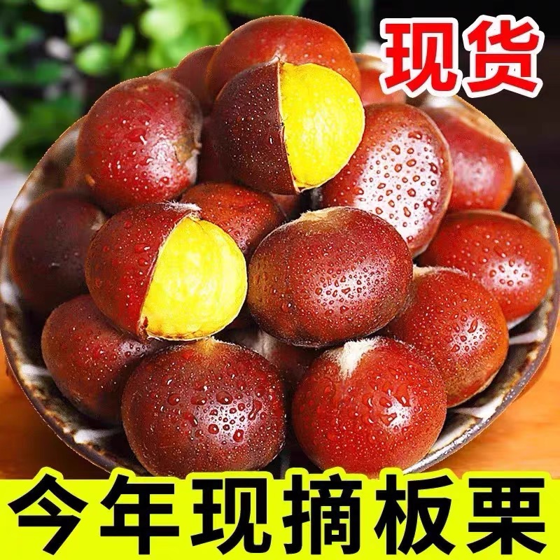 买3斤送2斤】新鲜现摘高山板栗甘甜生栗子板栗5斤装丹东板栗难剥皮商品图