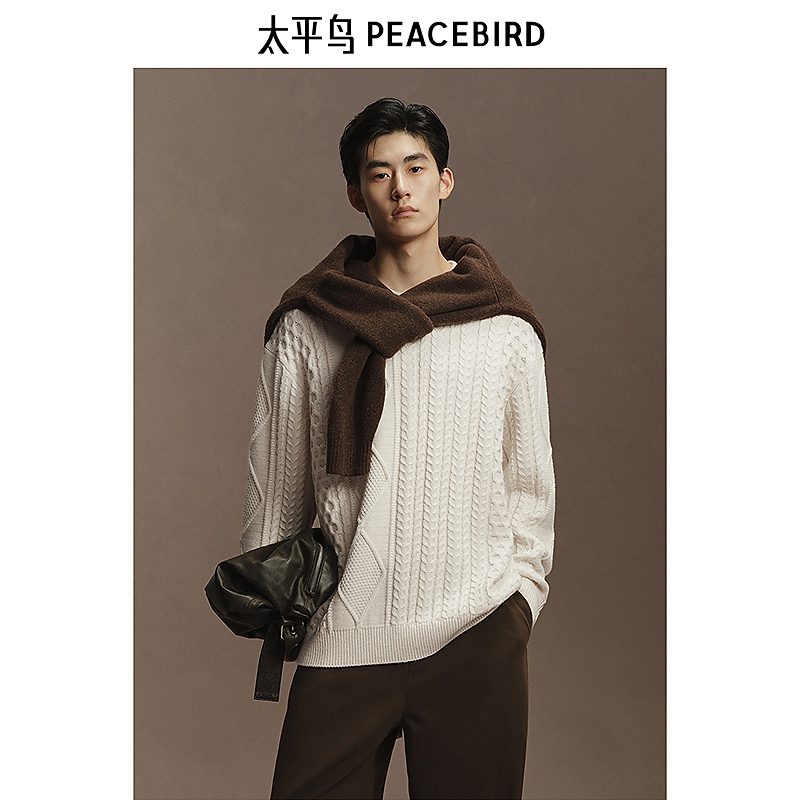 太平鸟男装 休闲毛衣24冬季新款绞花毛衫亲肤糯米绒毛衣BAEBE4358