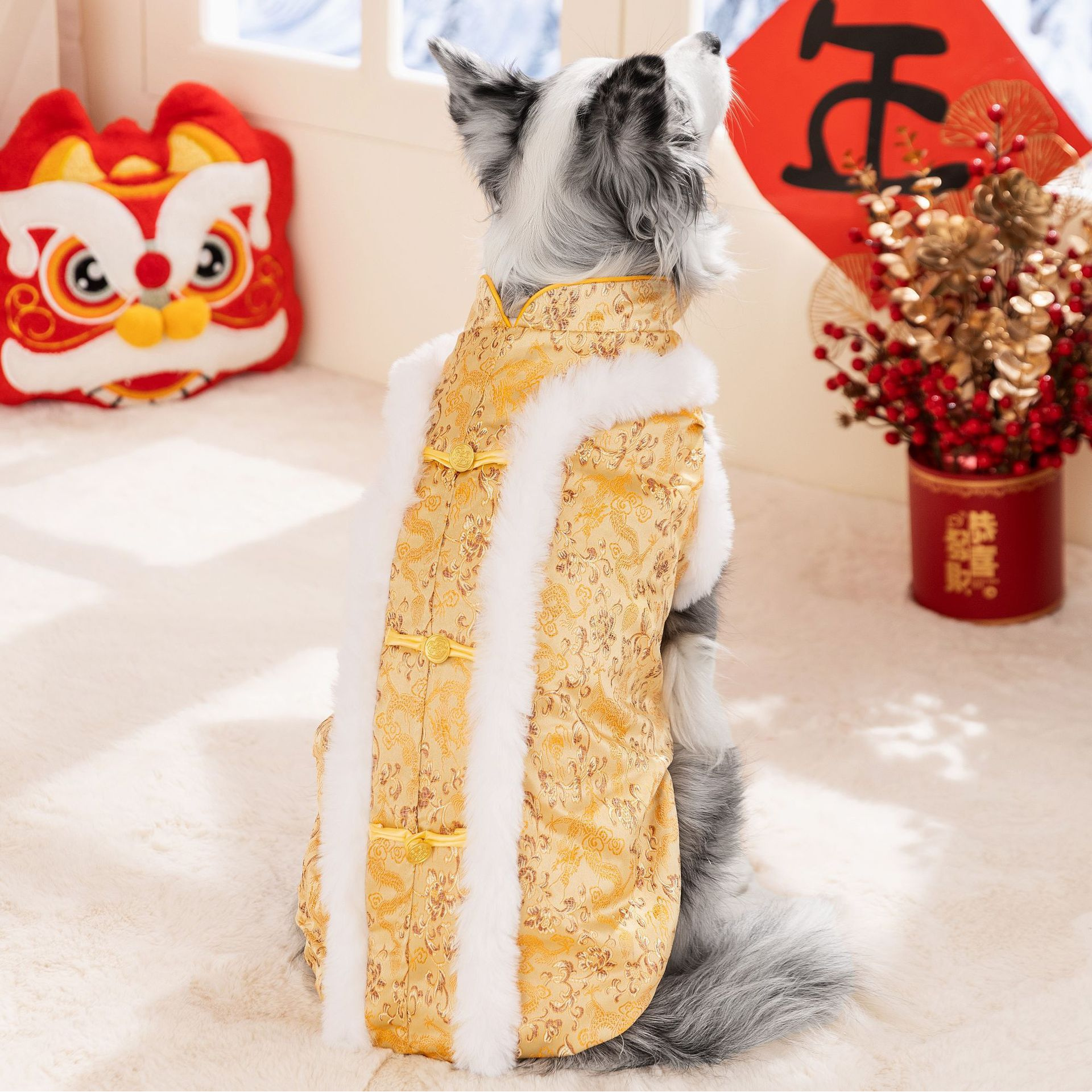 秋冬狗狗新年大狗盘扣唐装大型犬金毛拉布拉多宠物保暖两脚狗衣服