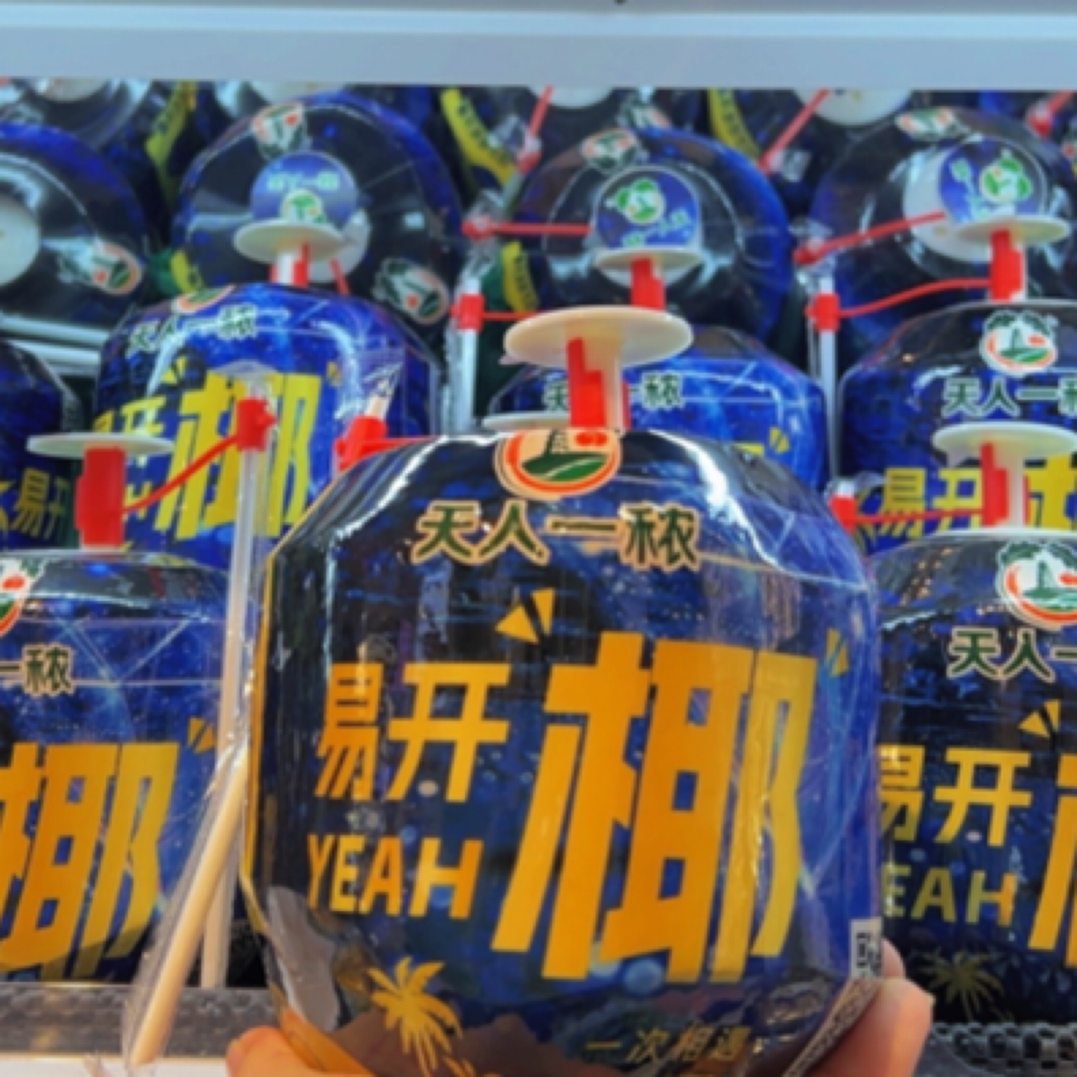 清甜多汁【天人一秾椰青】一枚 约2.2斤！