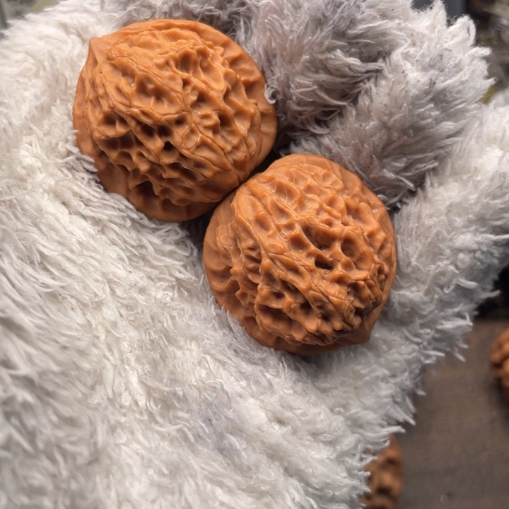 倩***.核桃32尺秦岭野生小金豆