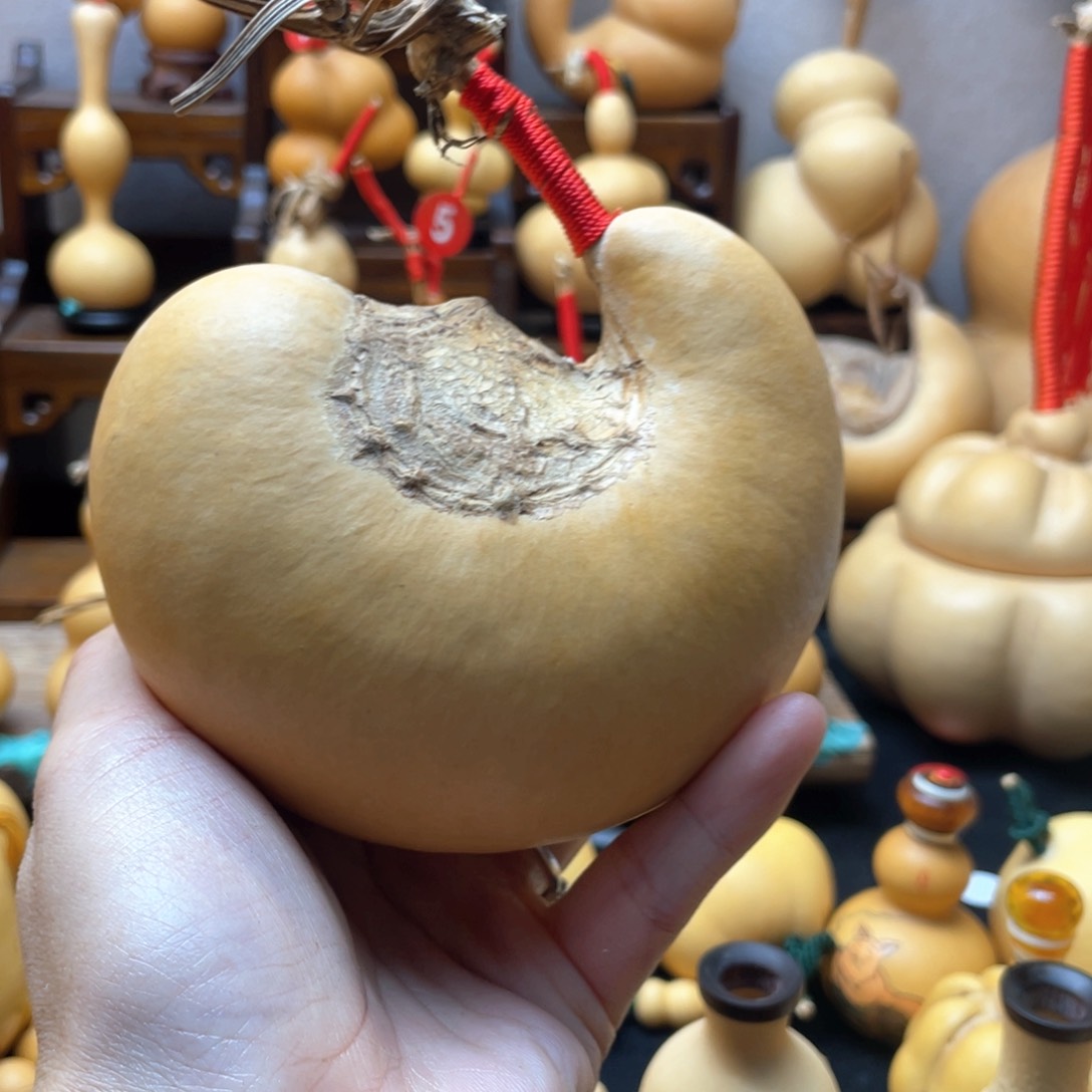 《****林大自然的秘密是什么啊哈哈我也