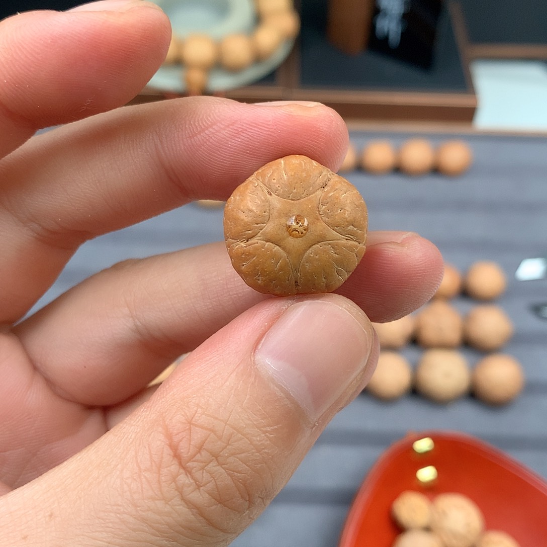 手串凤眼菩提微裂特价20+五星，非质量问题开孔不退