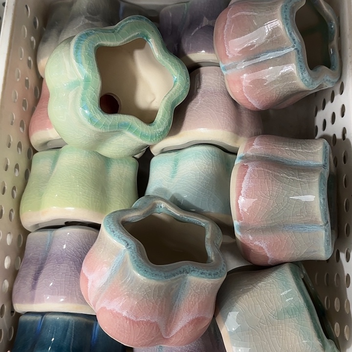 红陶发6个，非完美，介意慎拍