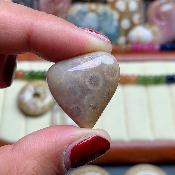 硅化珊瑚（珊瑚玉）颈饰未镶嵌