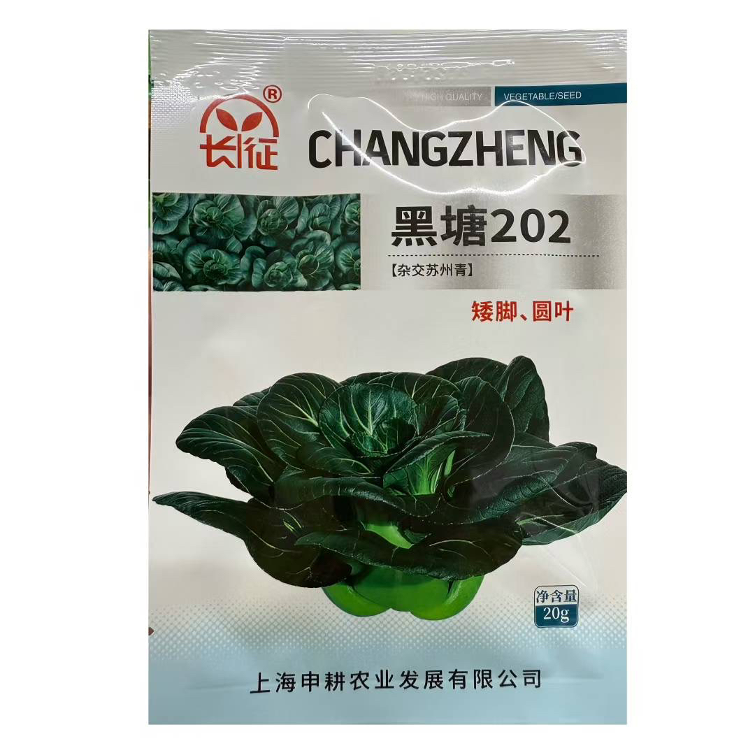 苏州青菜籽高产抗病较耐寒口感好优质蔬菜种子