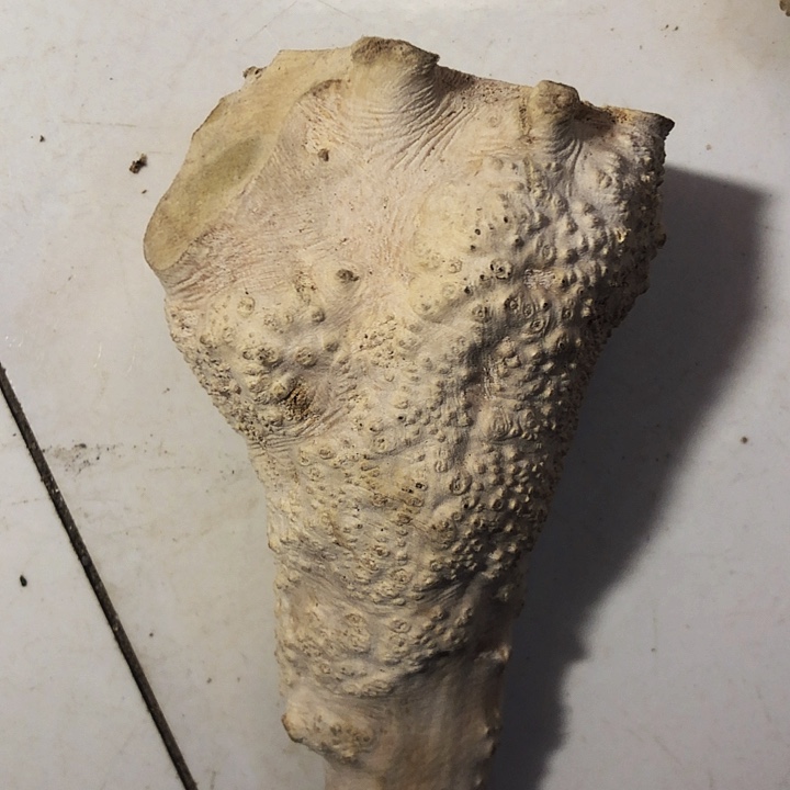 顺***章木木料努力努力努力