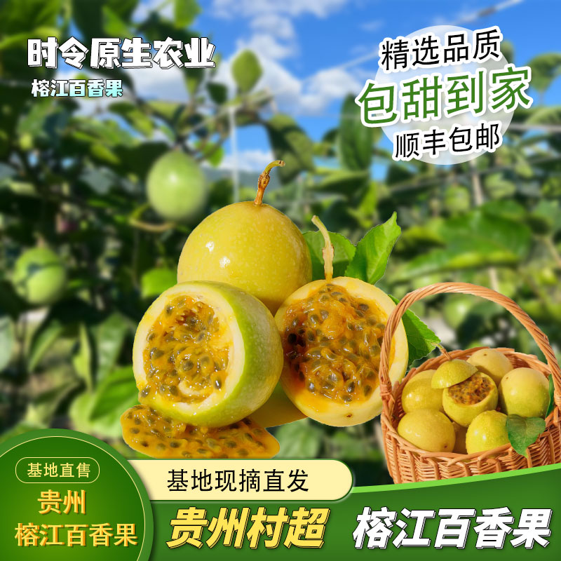 【大果】贵州榕江黄金百香果钦蜜9号特大百香果批发一箱5斤产地直发