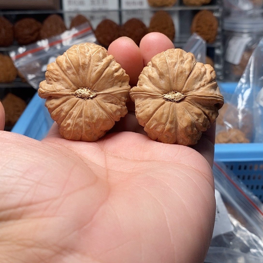 文玩核桃南瓜墩179