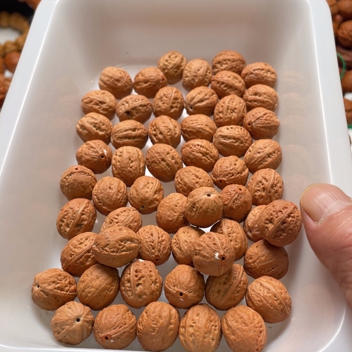 野生小核桃秋籽尺寸1.67同树55颗孔打完了