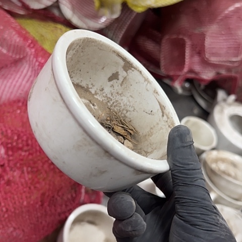 瓷片国营厂库存11.5厘米