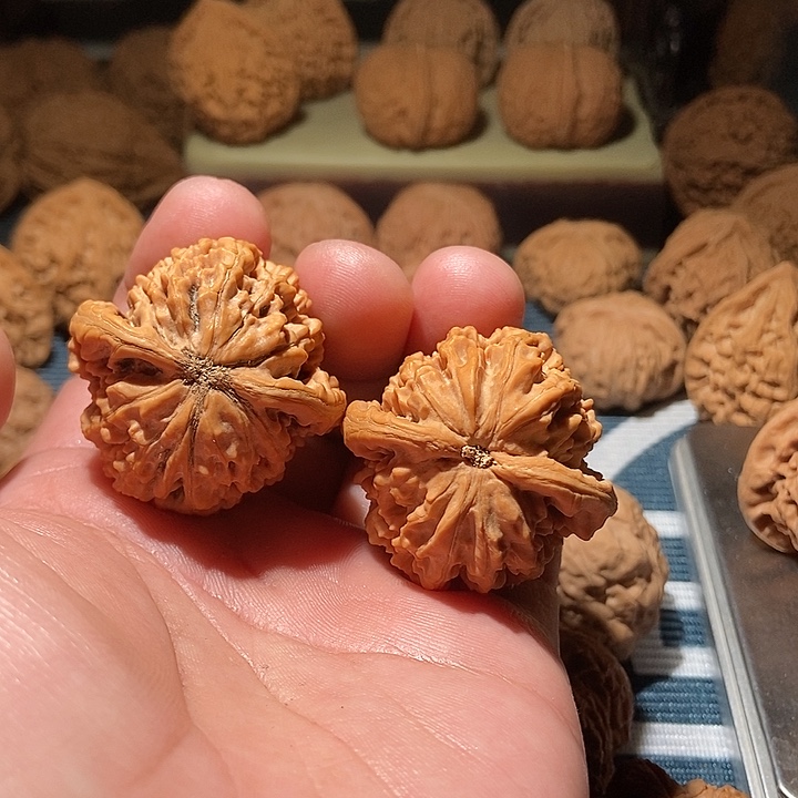 土***才文玩核桃吊坠秦鸡全品