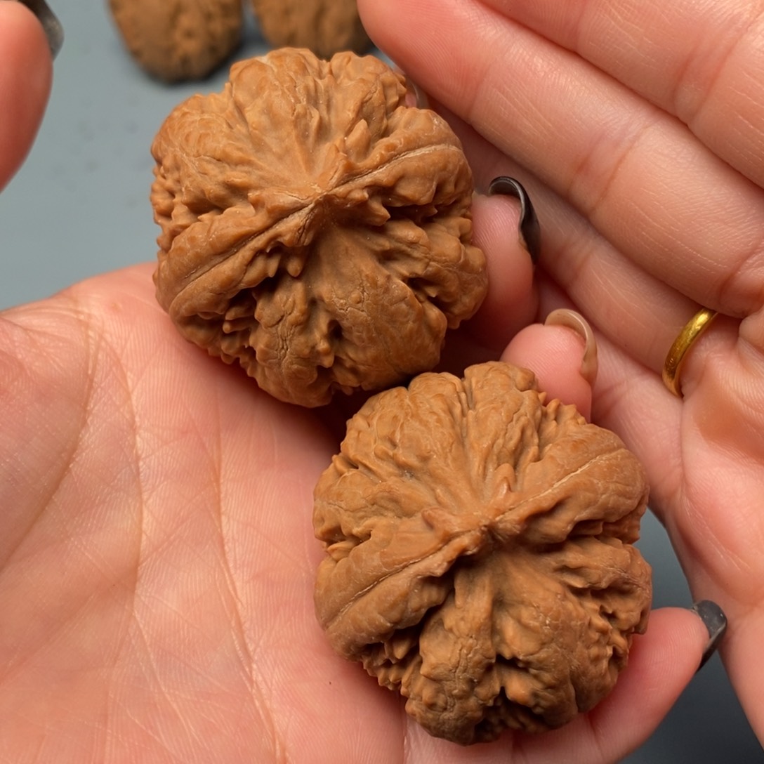 文玩核桃吊坠霸王龙42