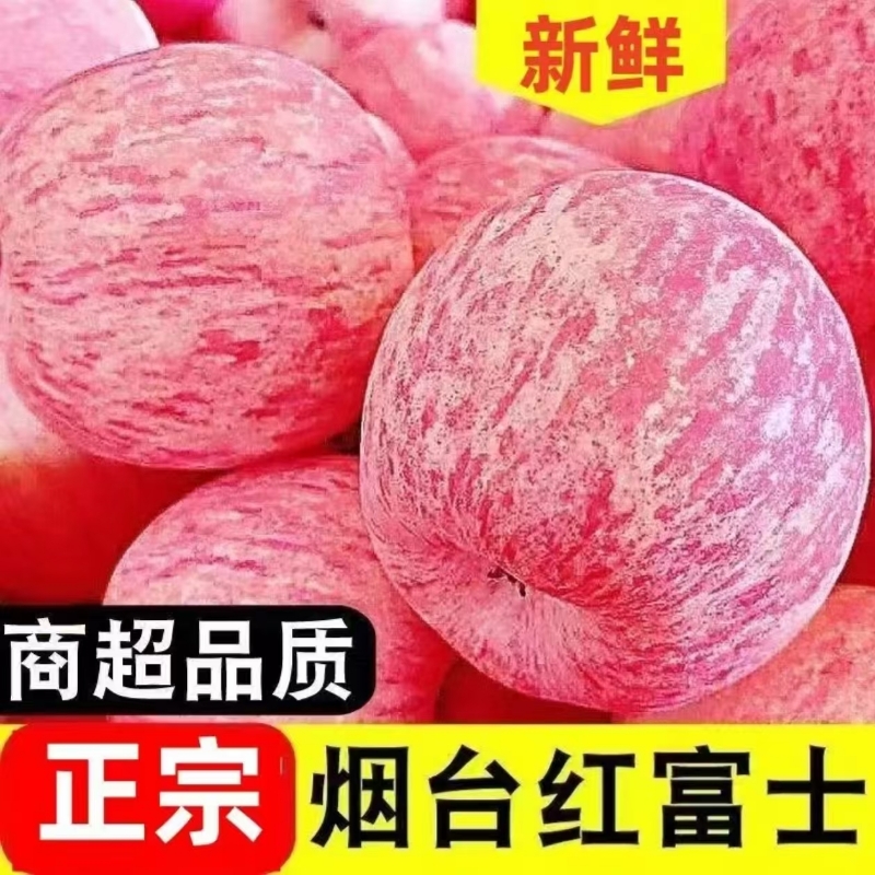 正宗新鲜山东红富士苹果脆甜多汁新鲜果园产地直发整件包邮直装
