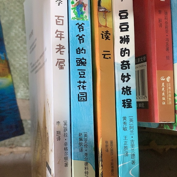 百年，爷爷，读云，豆豆