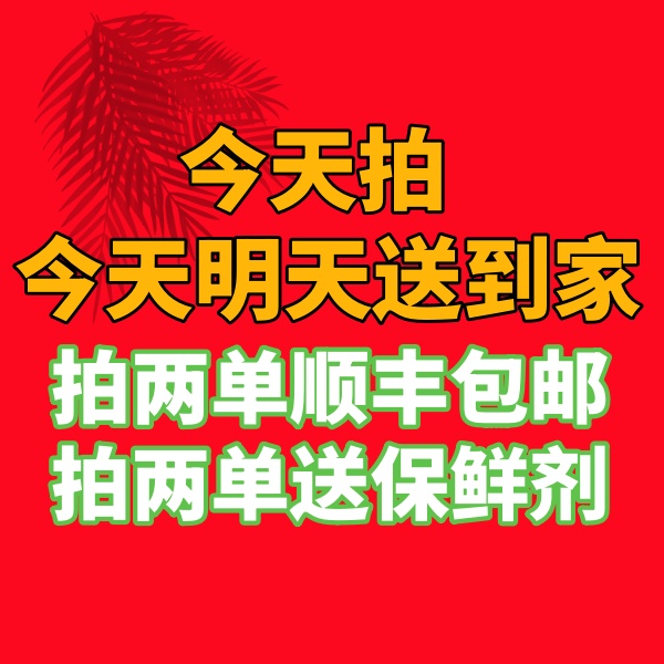 【鲜花】10枝多头玫瑰 全场任意满两单及以上顺丰包邮包邮 明天送到家 ZM56