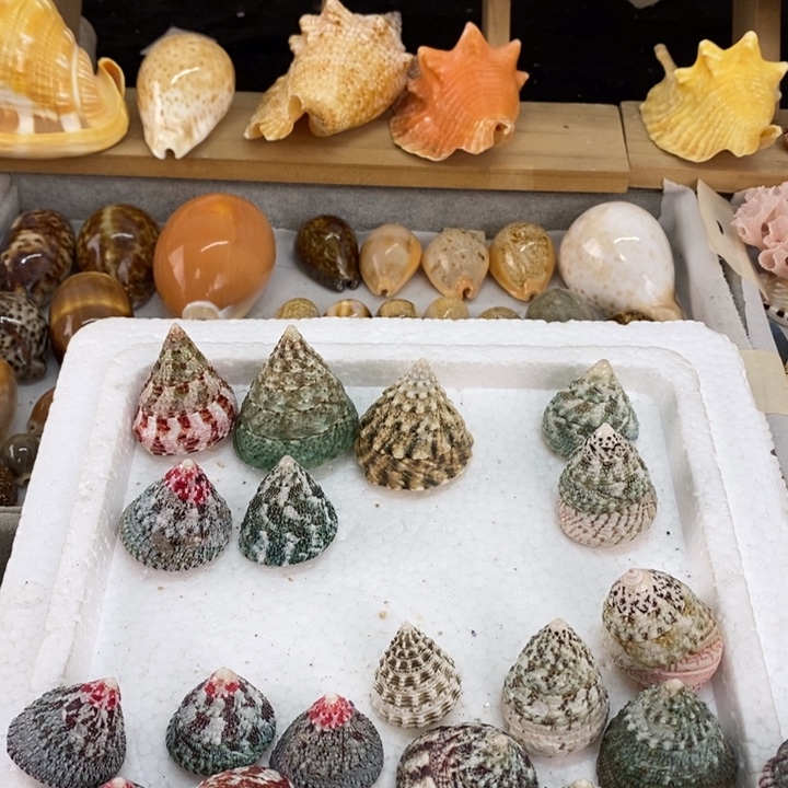 永***忆宝宝宝晚安啦宝宝