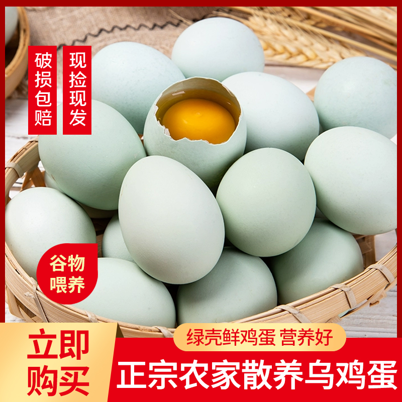 正宗农家散养乌鸡蛋新鲜营养健康（绿壳40枚）正宗土鸡蛋