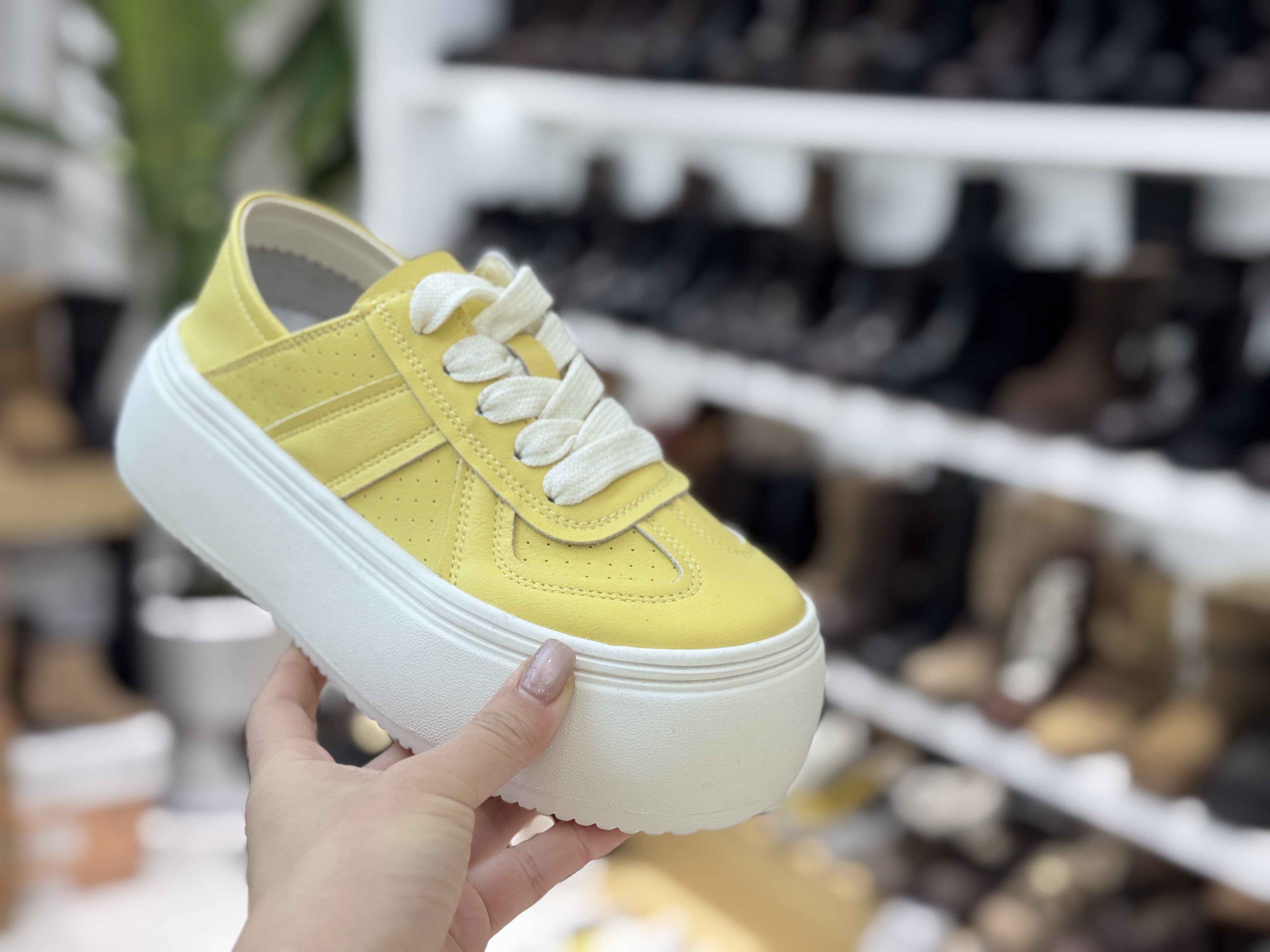 ZSWD2025年新款厚底休闲女款板鞋25-779