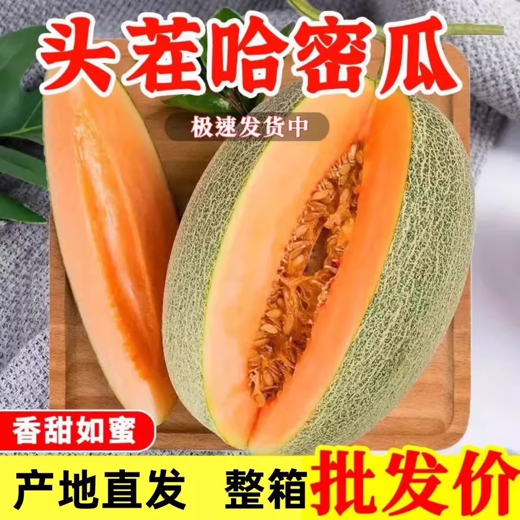 正宗新疆哈密瓜西州蜜当季新鲜脆甜多汁香脆水果饭后水果