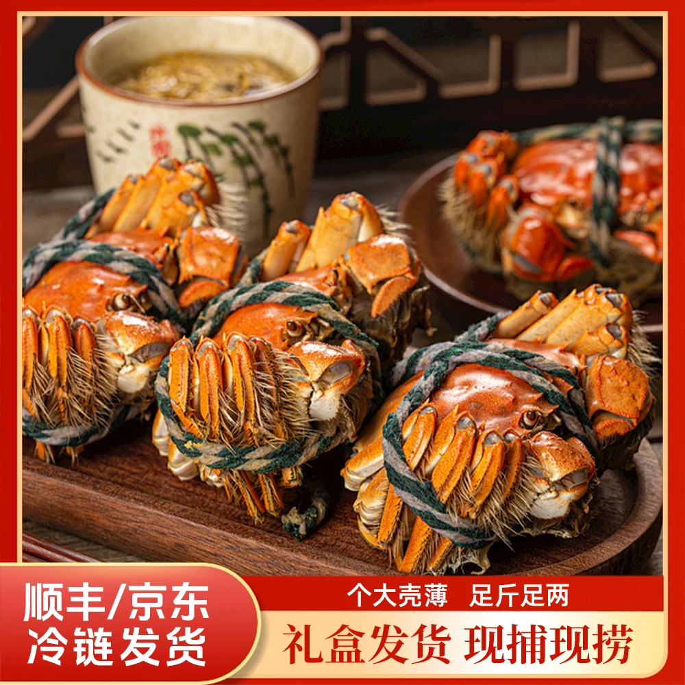  【苏州活蟹现货】江苏鲜活大闸蟹纯母蟹4.8-4.5两/只10只精品金标蟹全母 海鲜 鲜活现捞ZB