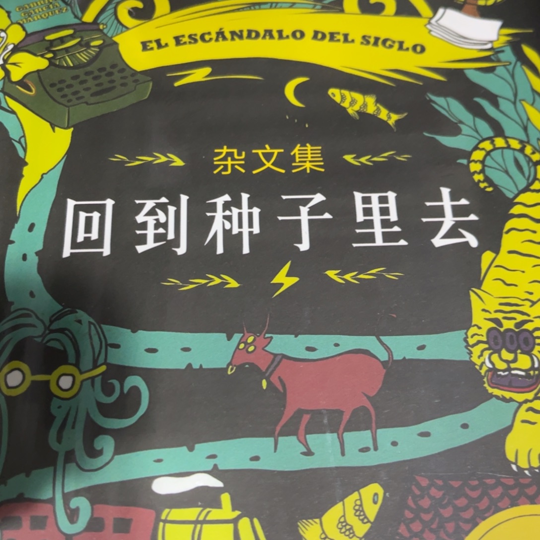 回到种子去精装一个