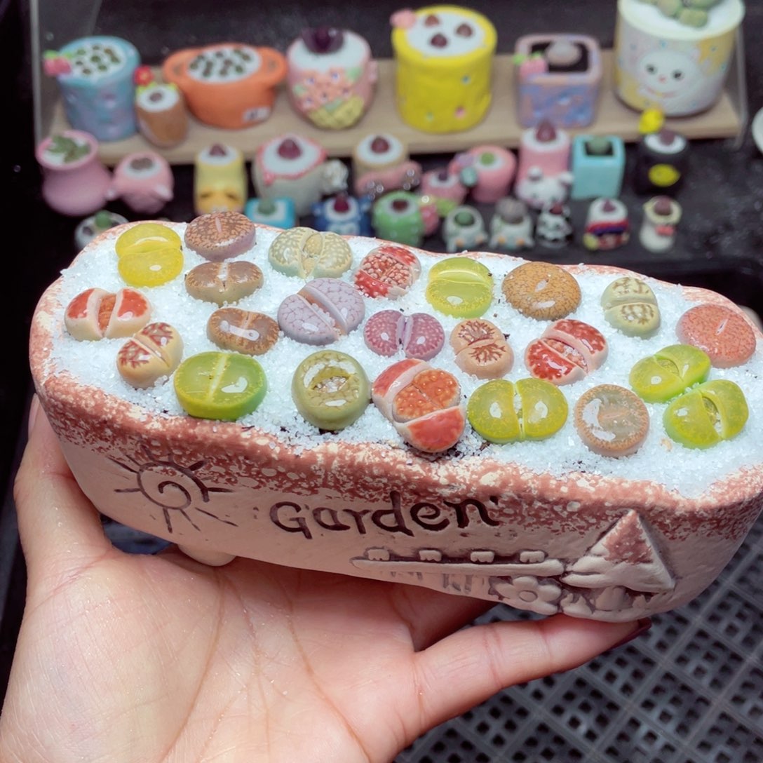 w9051 -零下地区拍保温箱-15支持寄养