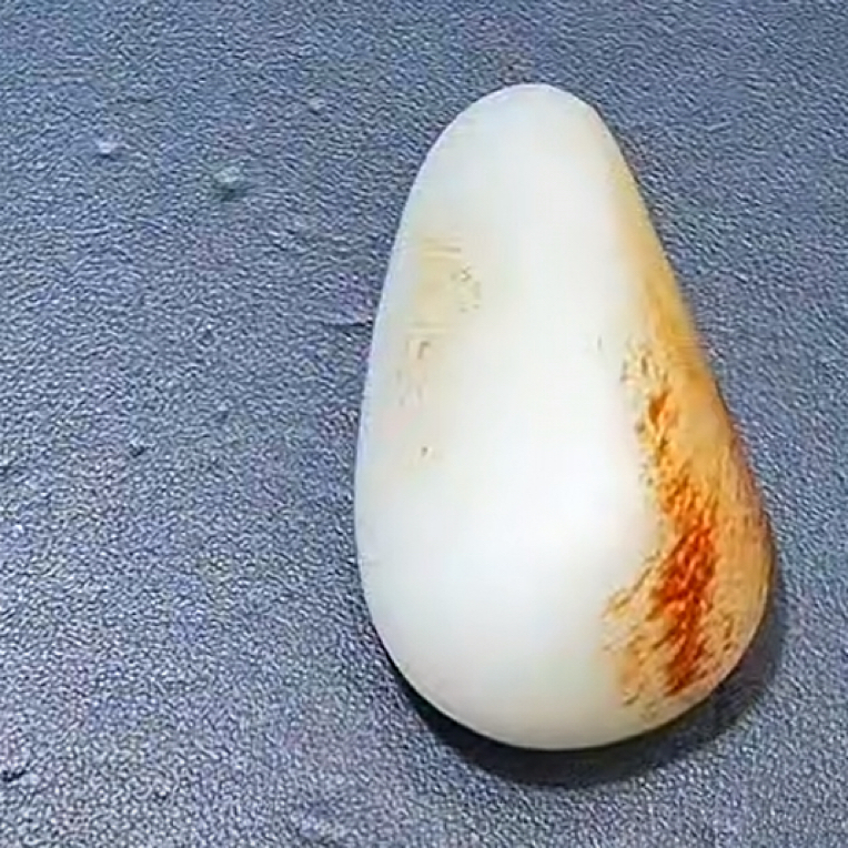 和田玉12.3 HX拍一发一