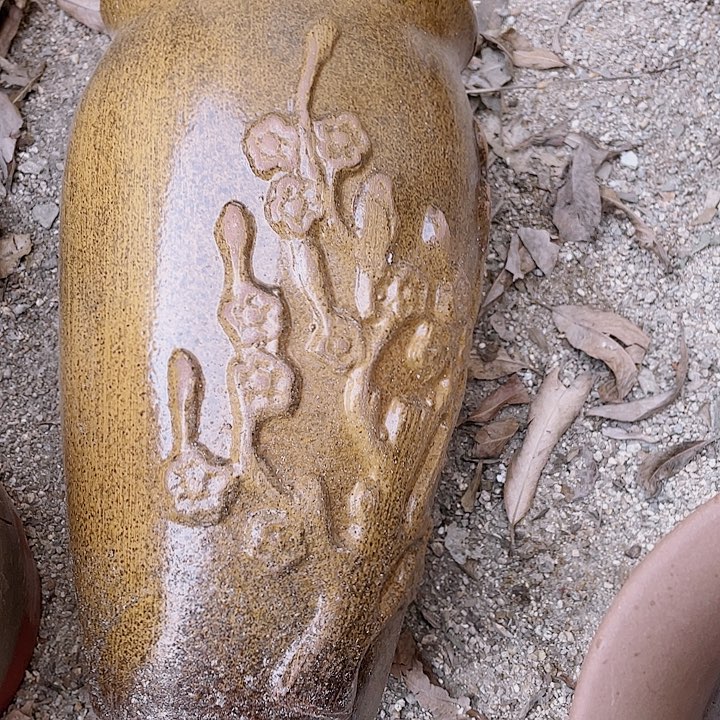 红陶倨傲呼P花呀a7