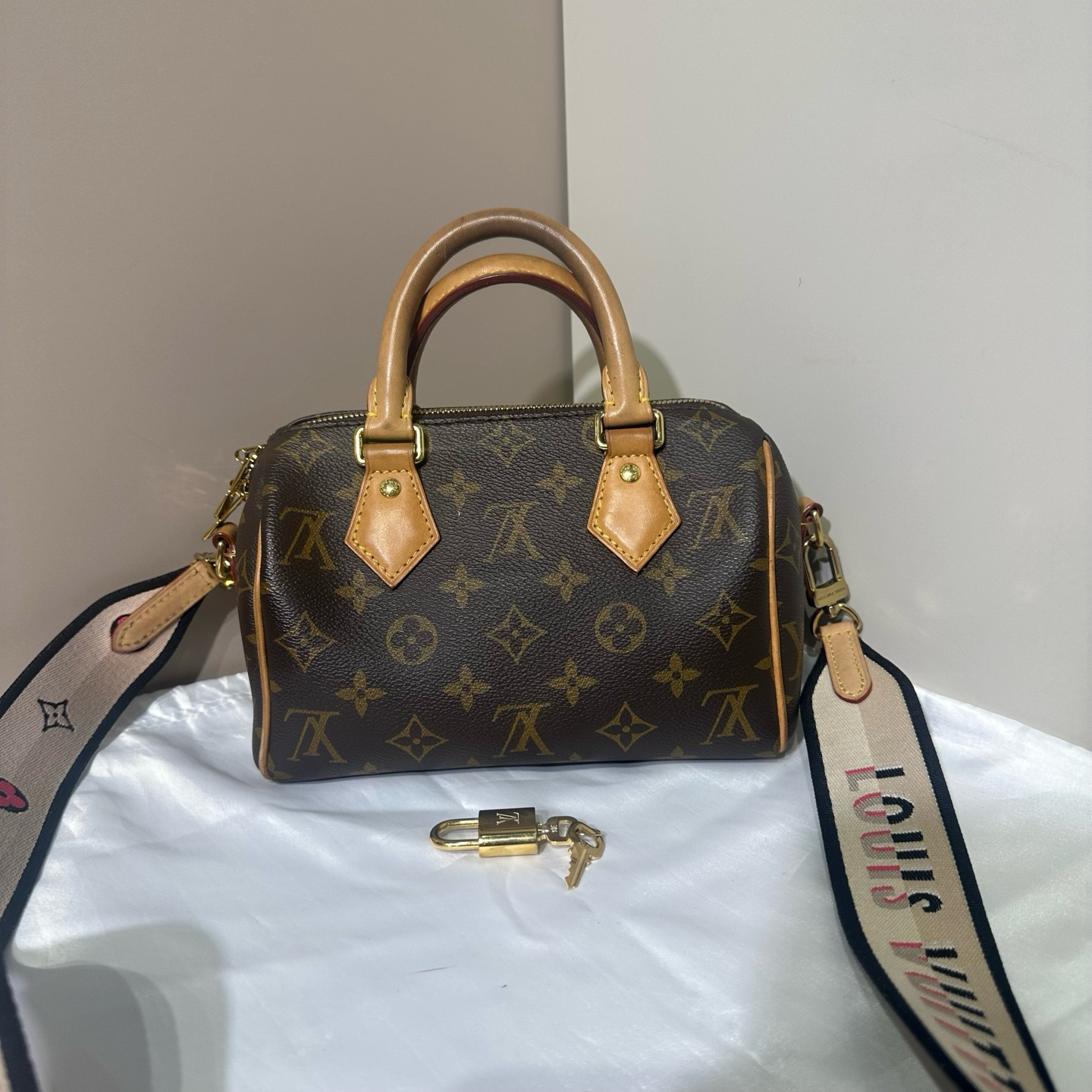95新 LouisVuitton/路易威登 老花芯片款speedy20单肩包