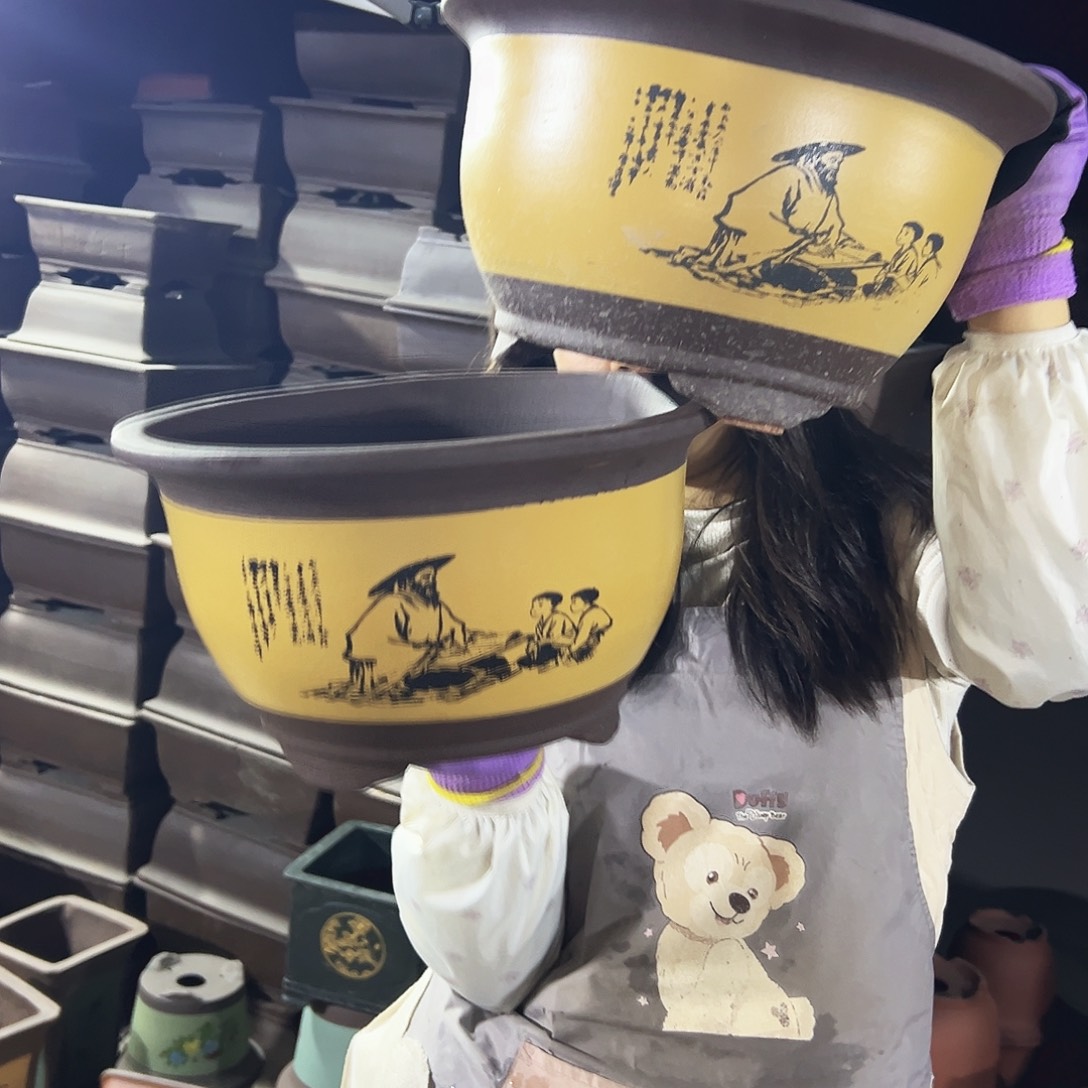 30+30黄色孔夫子三角金钟