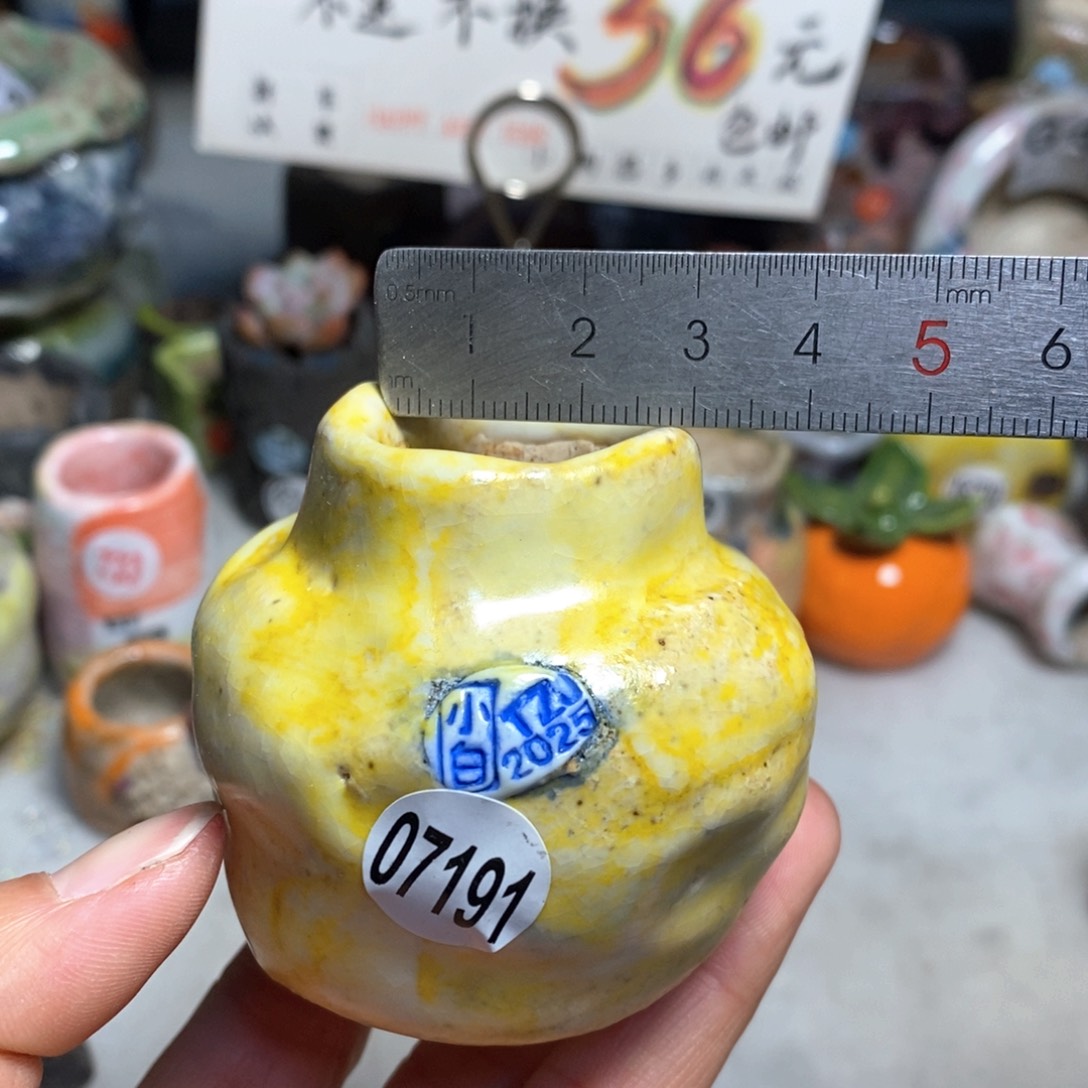 拍3送一个小礼物元旦快乐花盆