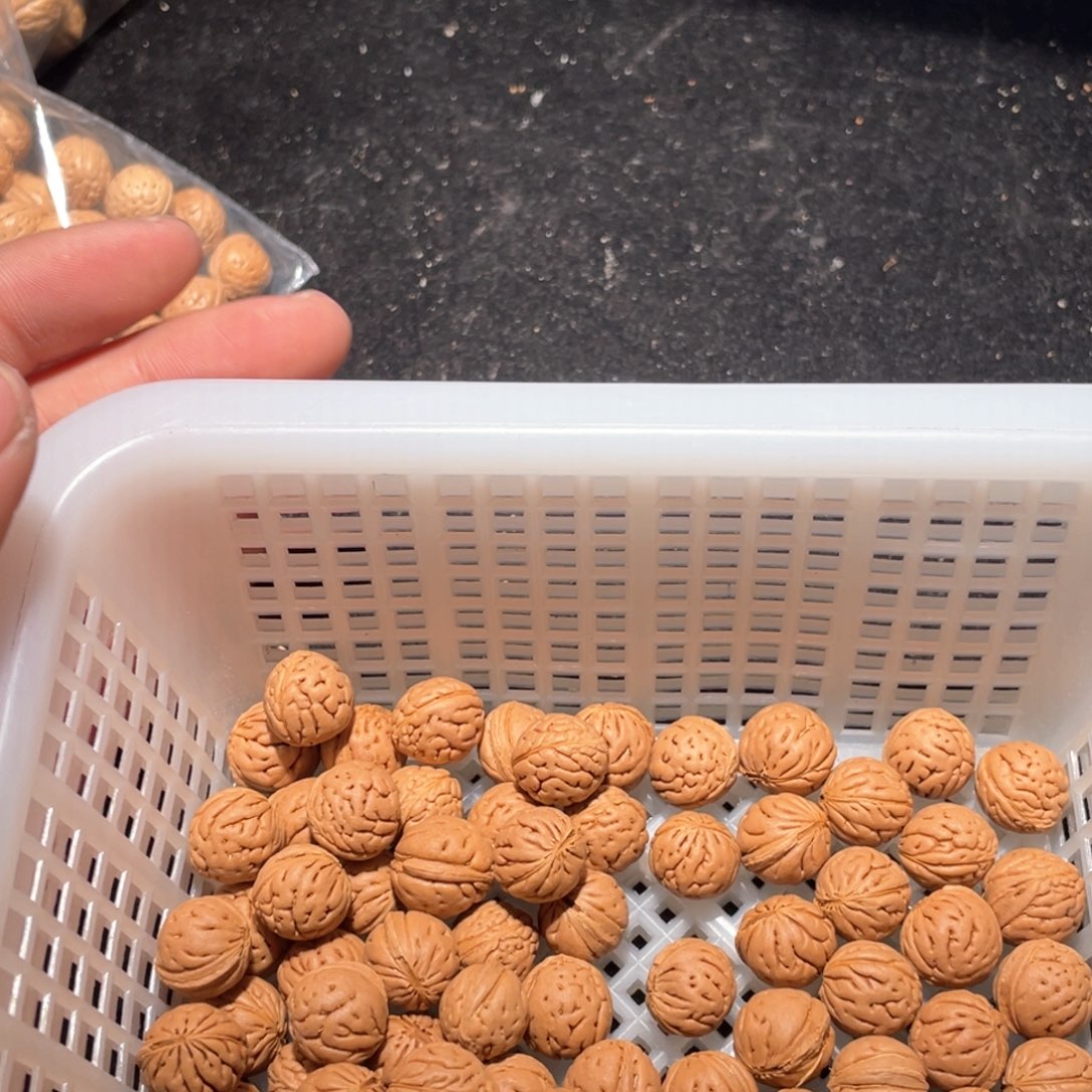 【闪购商品】飞*飞散子批发50米