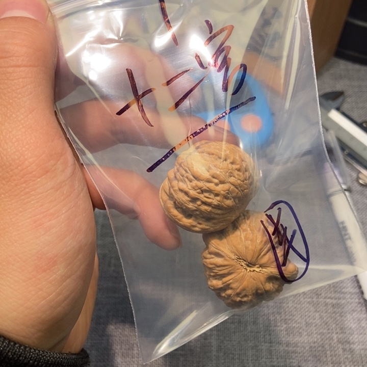 十***宫文玩核桃吊坠bbbb