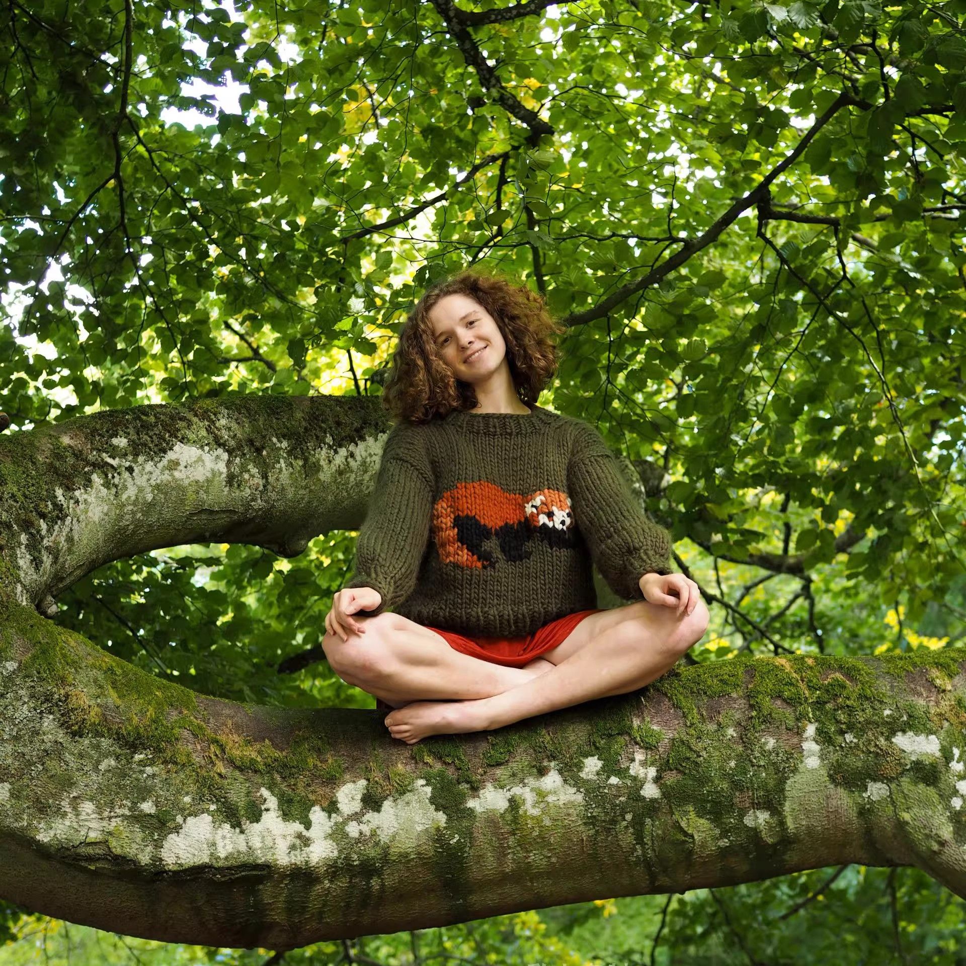 美丽奴纯羊毛新款秋冬简约圆领刺绣小熊猫毛衣慵懒风针织衫套头