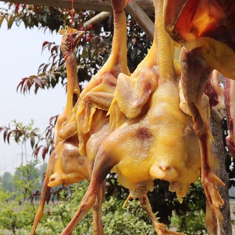 苏北特产农家风干鸡湖北荆门同款风干鸡咸鸡腊味子鸡整只老母鸡