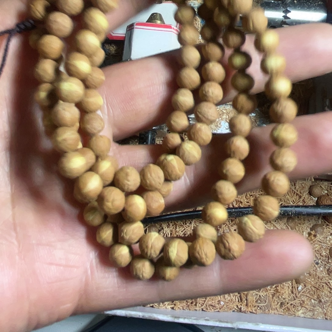*****吊坠凤眼菩提野生酸枣核