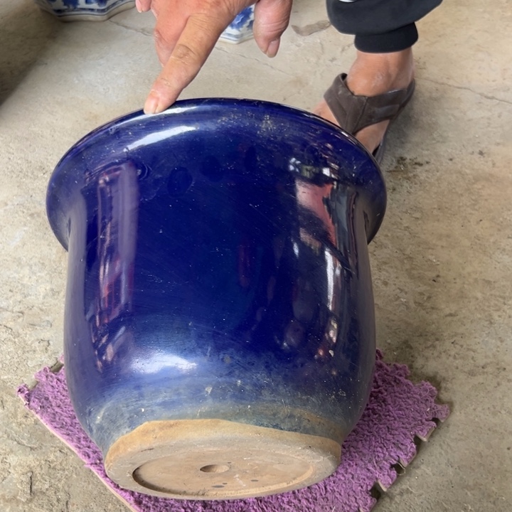 毅**兰我们的生活是以一颗