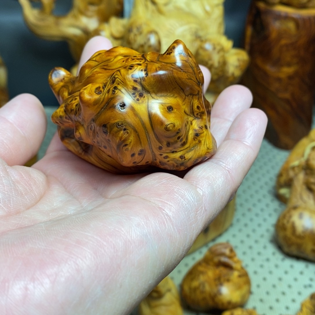 柏木（崖柏）太行山上