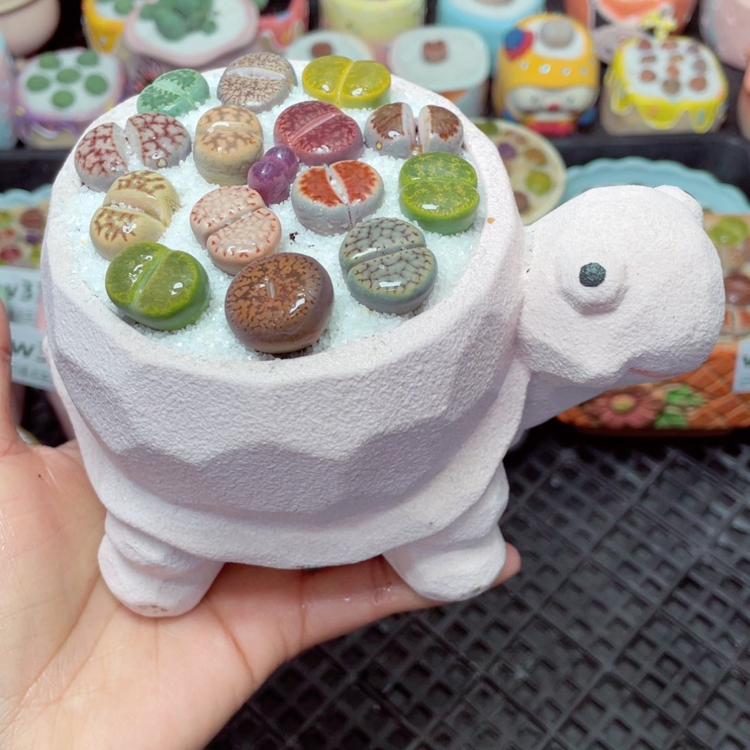 w3398 -零下地区拍保温箱-15支持寄养