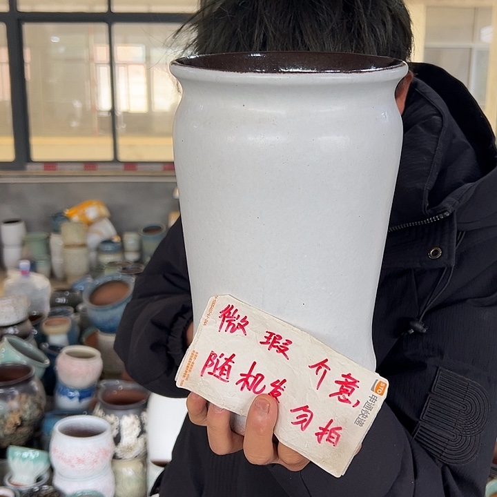 微瑕啦啦啦啦花盆